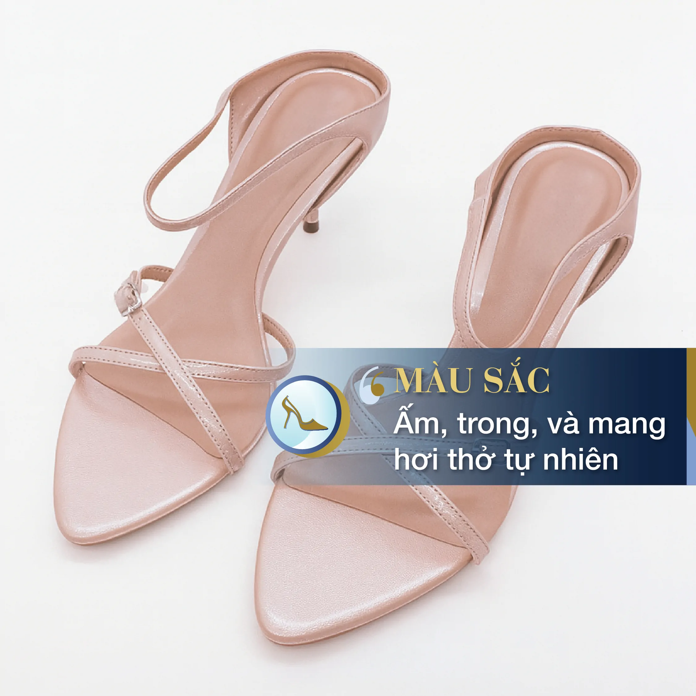 Chọn mẫu phù hợp thị trường